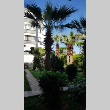 Askim2 Apart *